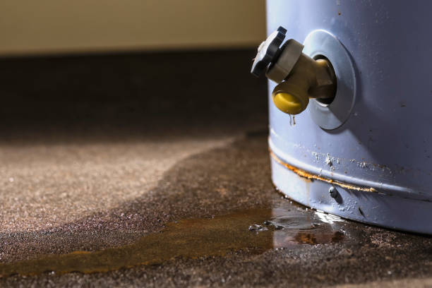 Best Fire Damage Restoration  in Little Elm, TX