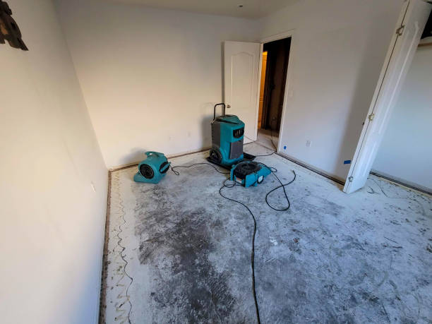 Best Flood damage cleanup  in Little Elm, TX