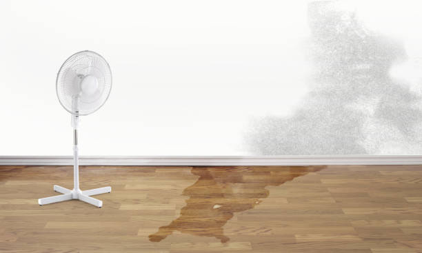 Best Residential water damage restoration  in Little Elm, TX