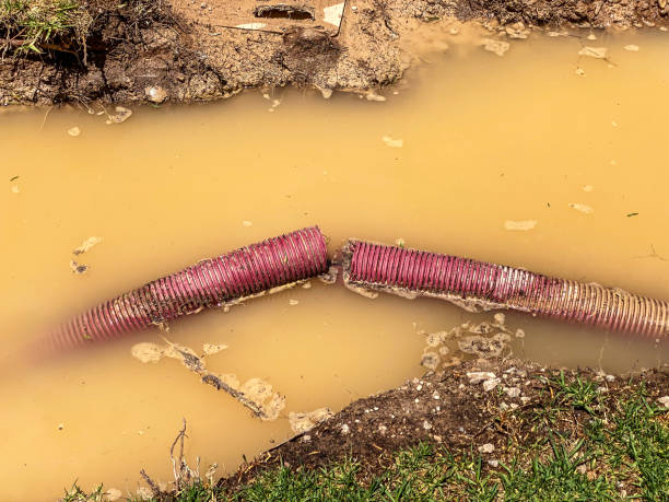 Best Water damage cleanup near me  in Little Elm, TX